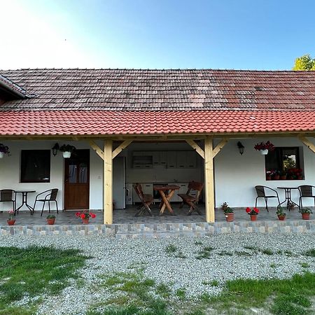 Вилла Casa Andrei Кырцишоара Экстерьер фото