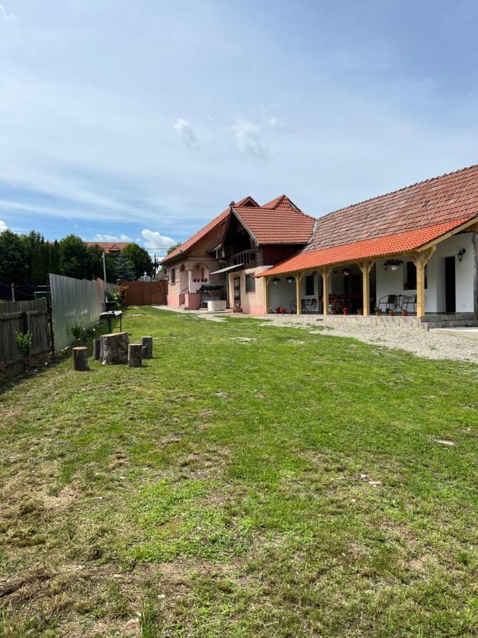 Вилла Casa Andrei Кырцишоара Экстерьер фото